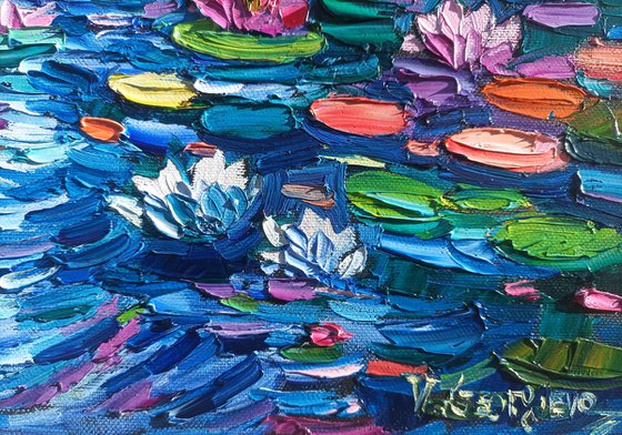 Water lilies
