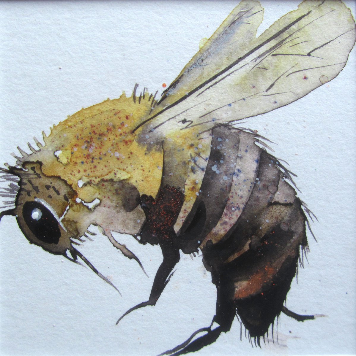 Busy Bee - 1 by Violeta Damjanovic-Behrendt