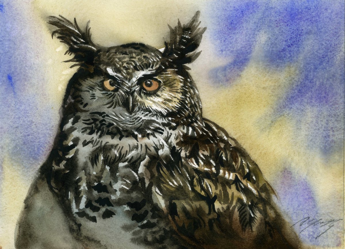 long-ear owl by Alfred  Ng