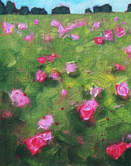 Wild Roses