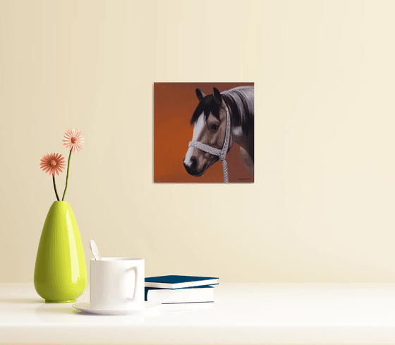 Horse Portrait 50