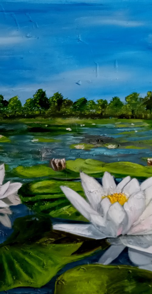 Water Lilies in  Pond by Ira Whittaker