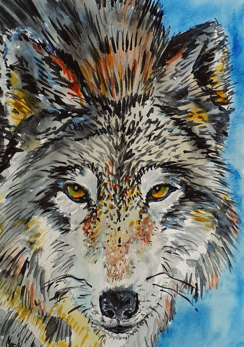 Wolf by Marily Valkijainen