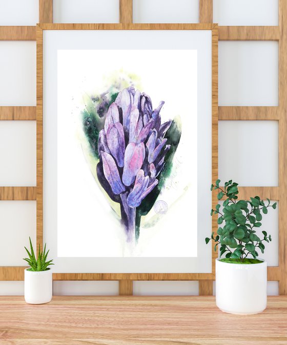 The Most Honourable Hyacinth
