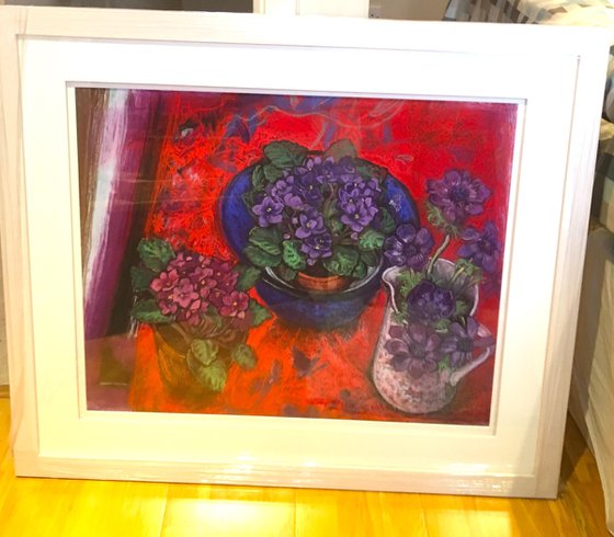 African Violets on red