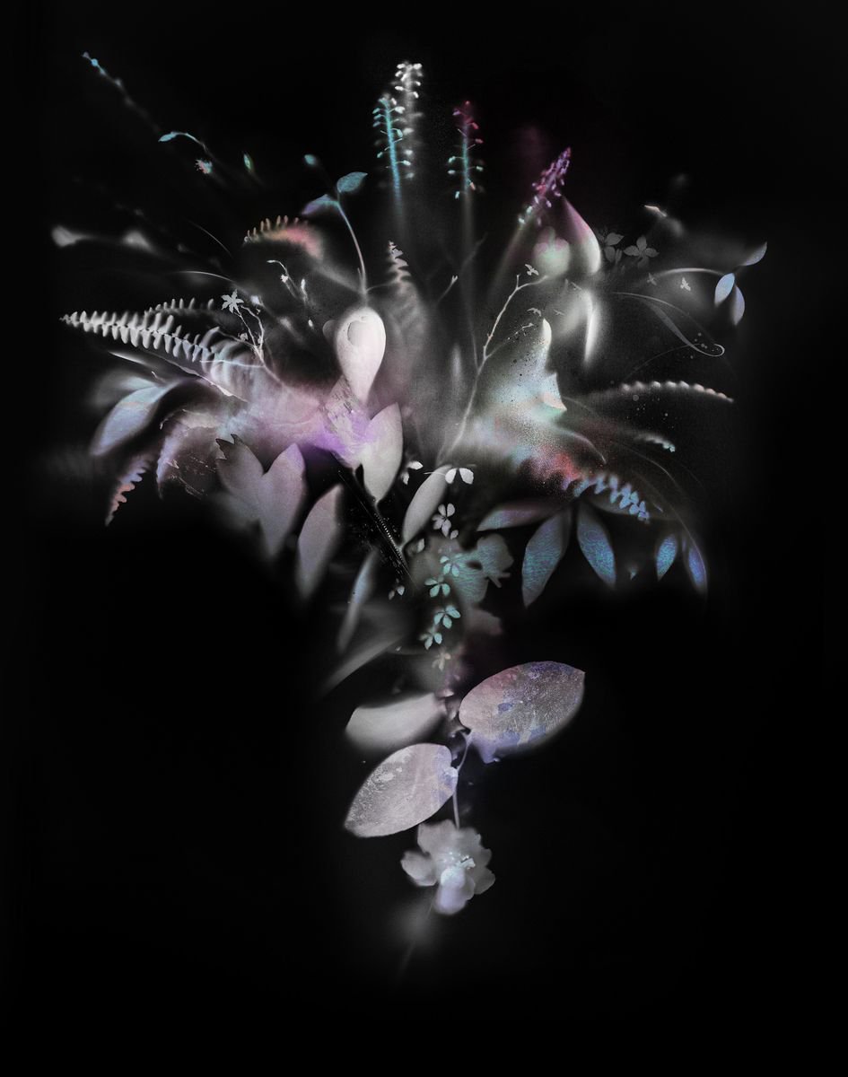 Botanical Painting By Teis Albers, 31 X 39", Natural Veil, Original Artwork