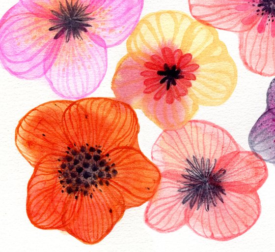 Watercolor abstract poppies