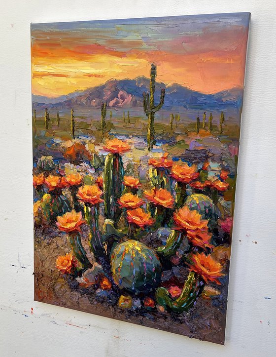 "Flowering cacti "