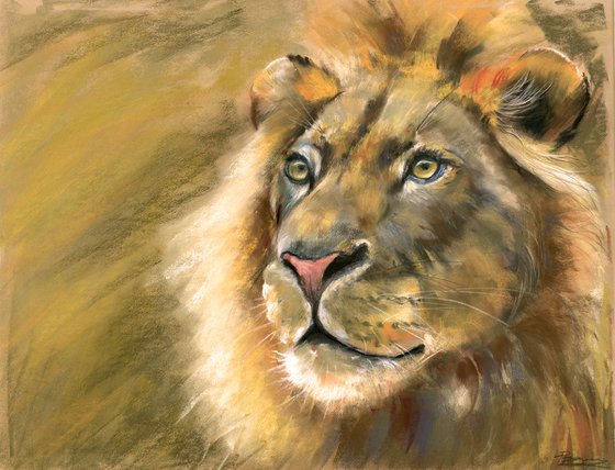 Lion Portrait - Original Pastel Drawing (3)