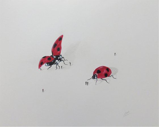 Ladybirds and People