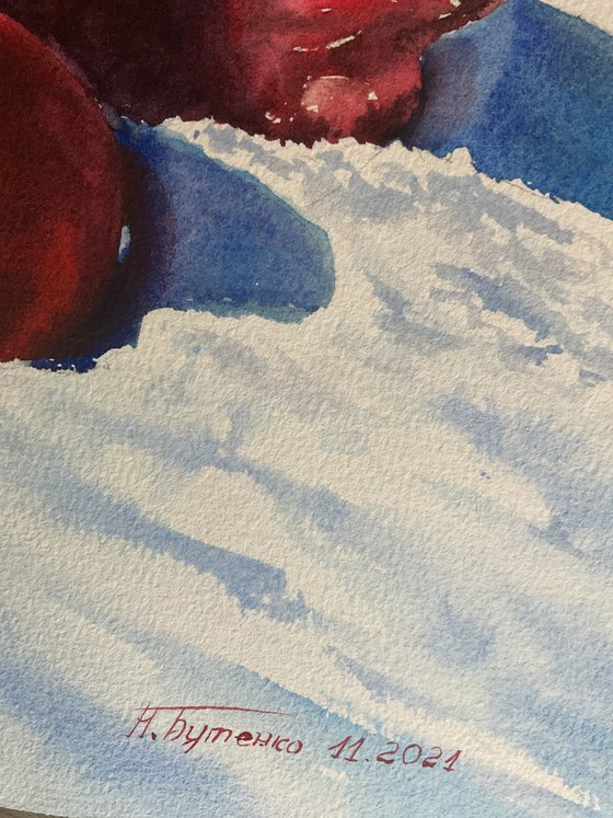 Apples in snow