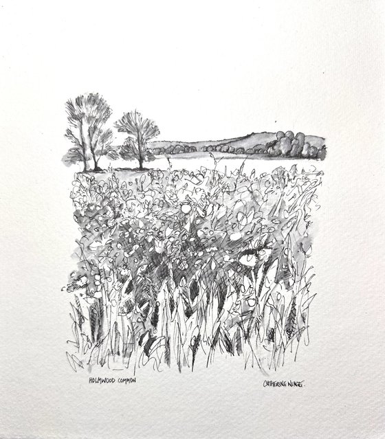 Holmwood Common in Spring. Surrey. Pen & Ink