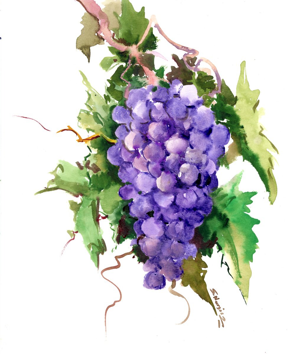 cabernet sauvignon grape by Suren Nersisyan