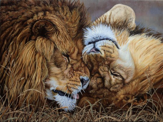 Two Brothers (Lions)