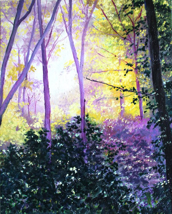 Sunlit Woodland