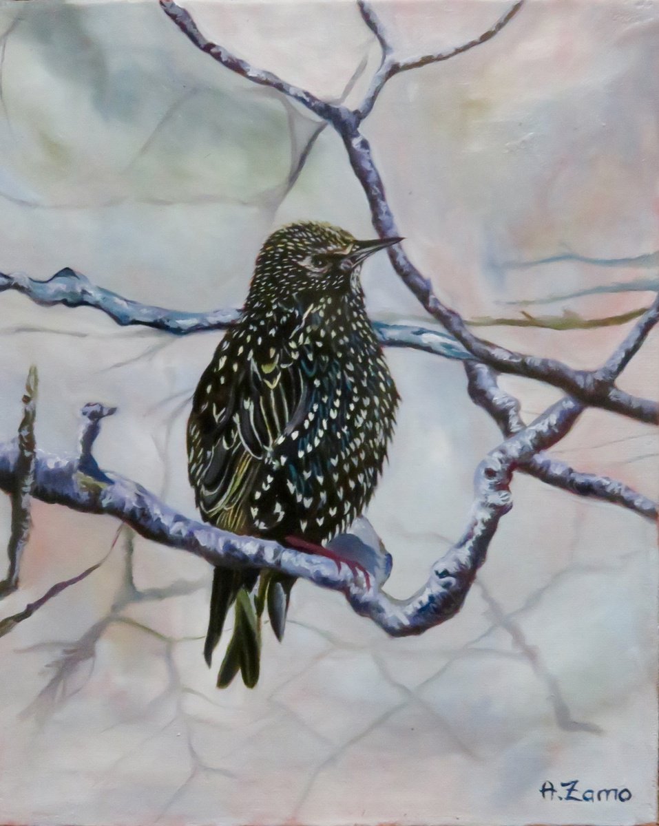 Photorealistic Animal Oil Painting By Anne Zamo, 9 X 11, The Imitator, Original Artwork