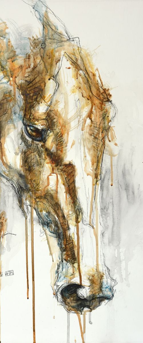 Expression 3t by Benedicte Gele