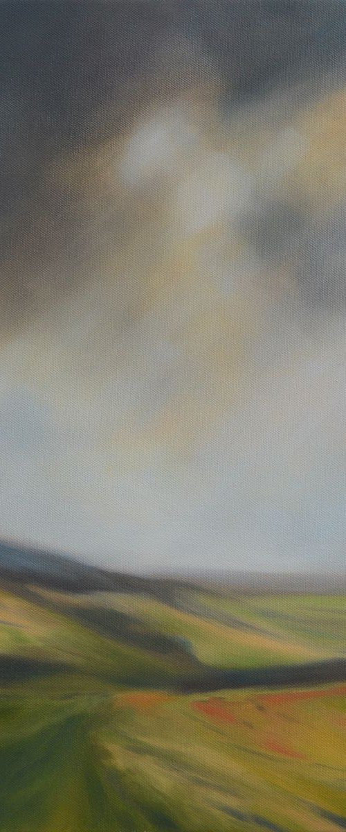 Looks Like Rain up There on the Moors by Veronique Oodian
