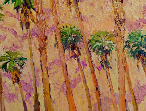 Desert Palms and Mountains. Palm Springs