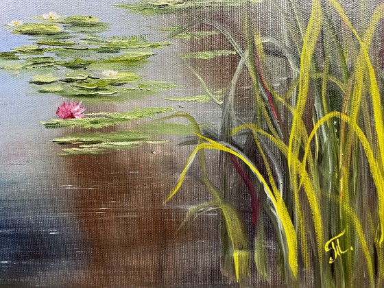 Lilies on the Water's Mirror