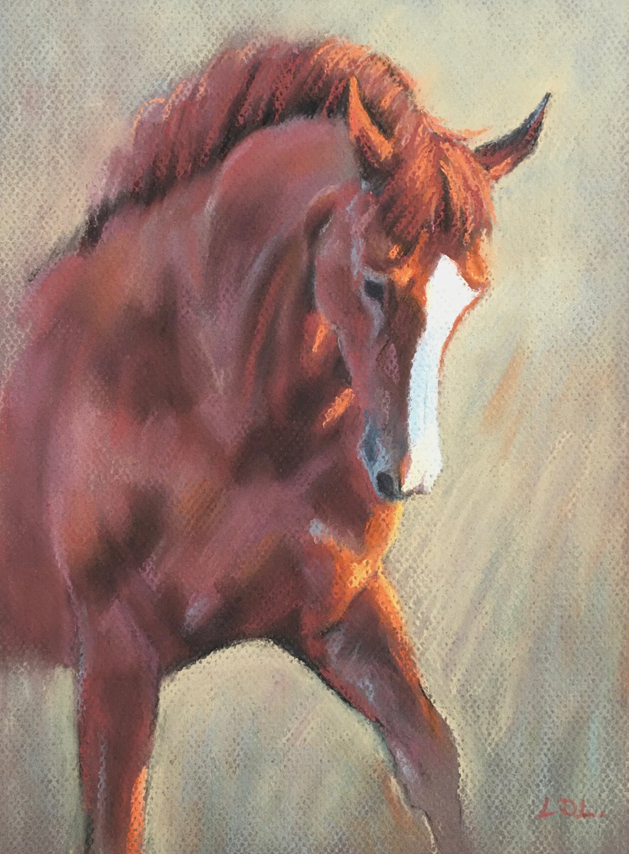 Backlight - Chestnut Holsteiner Dressage Horse by Lorna Lancaster ASEA