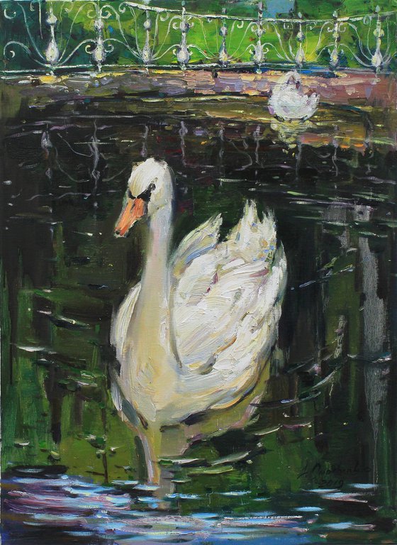 "Swans"