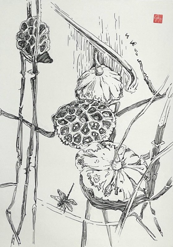 Lotus pods.Dragonfly