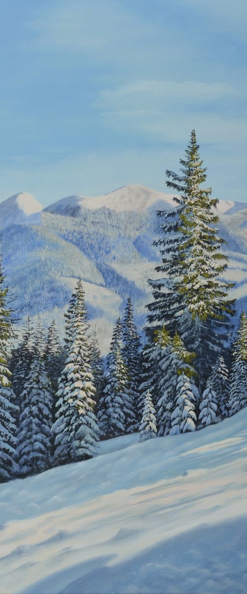 Winter spruse by Andrii Lysenko