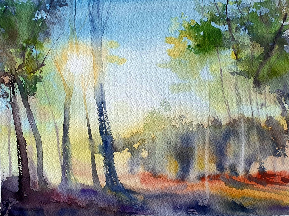 Sunlight through the trees by Elena Genkin