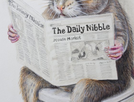 The Daily Nibble