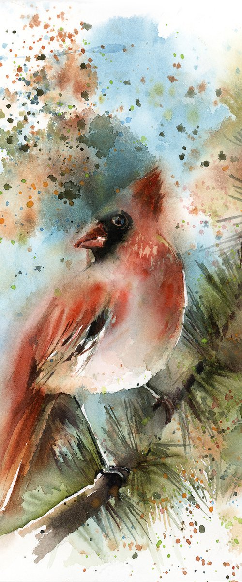 Northern Cardinal Bird on Pine Tree Branch by Sophie Rodionov