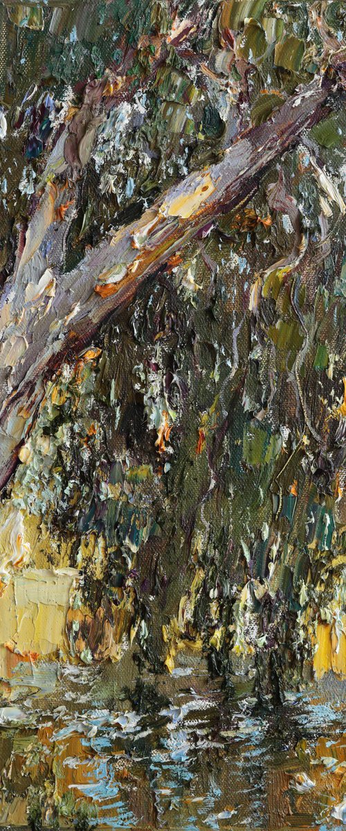 Yarkon Riverside Tree, Tel Aviv by Anastasiia Valiulina