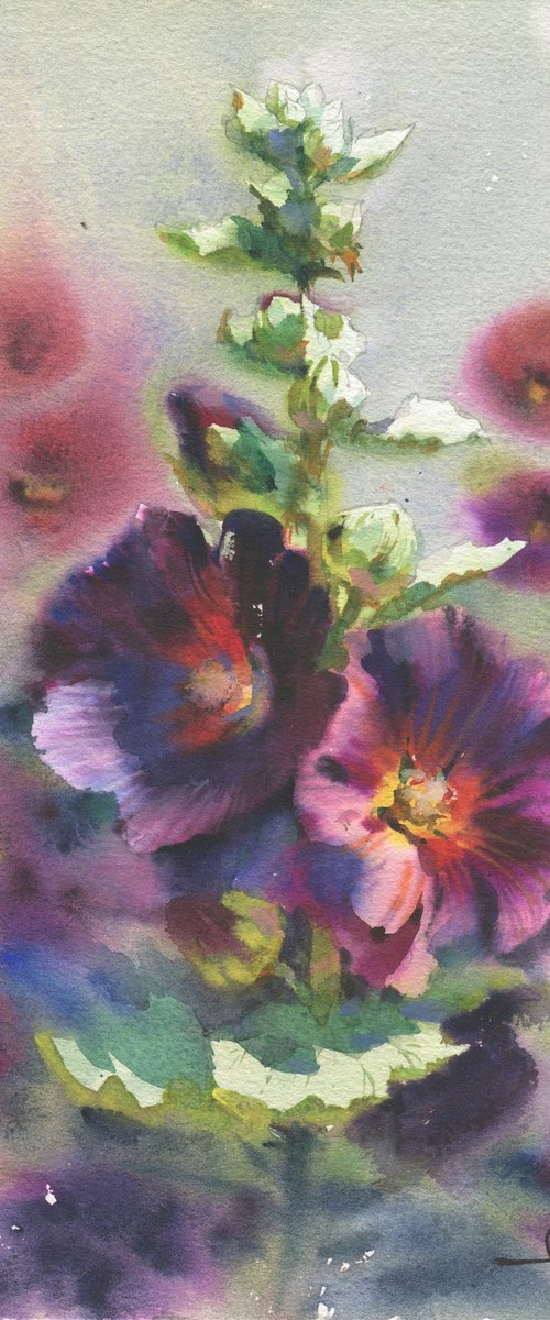 Beautiful flowers of mallow by Samira Yanushkova