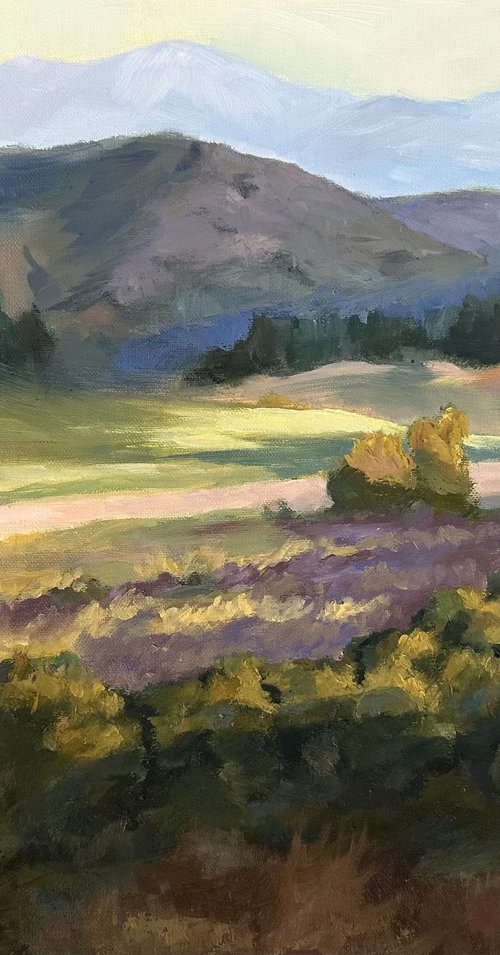Weir Canyon by Grace Diehl