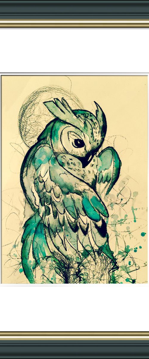 Teal 🦉 owl by Shabs  Beigh