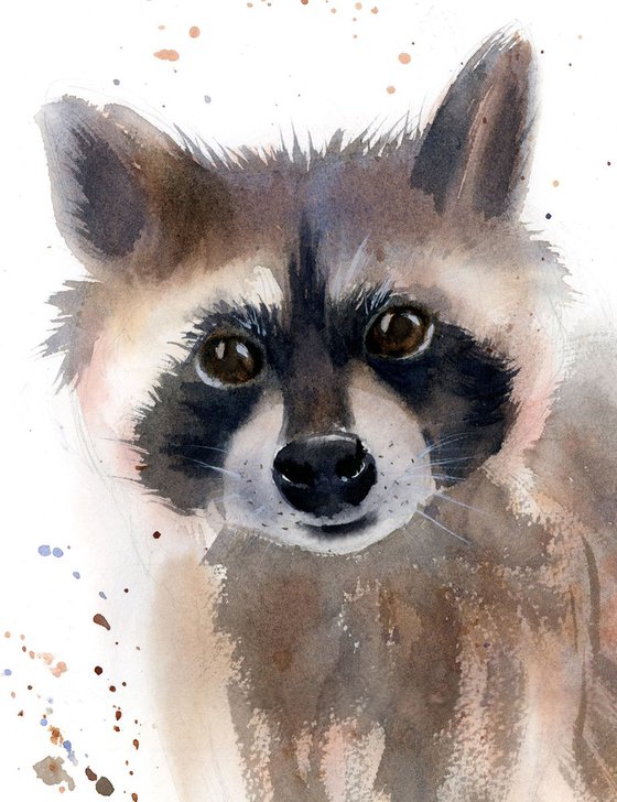 Raccoon