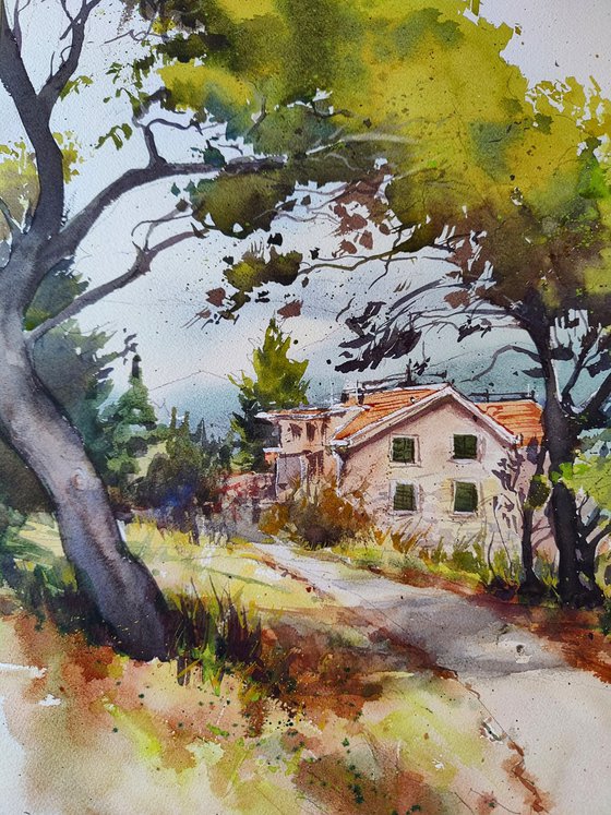 Croatian wilderness, Makarska riviera Dalmatia Original watercolor painting, Mediterranean Europe Impressionistic