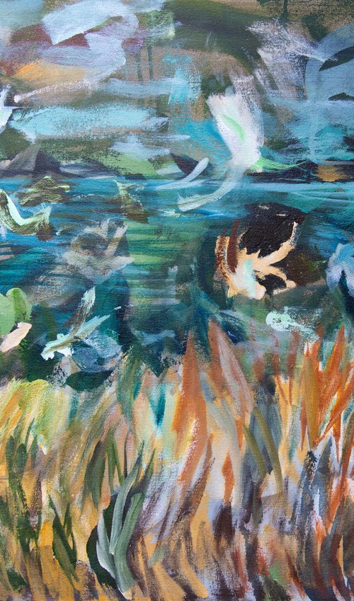 Mayflies by Elizabeth Anne Fox
