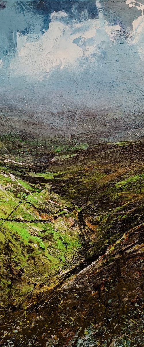 Wales countryside 11 by Wim van de Wege