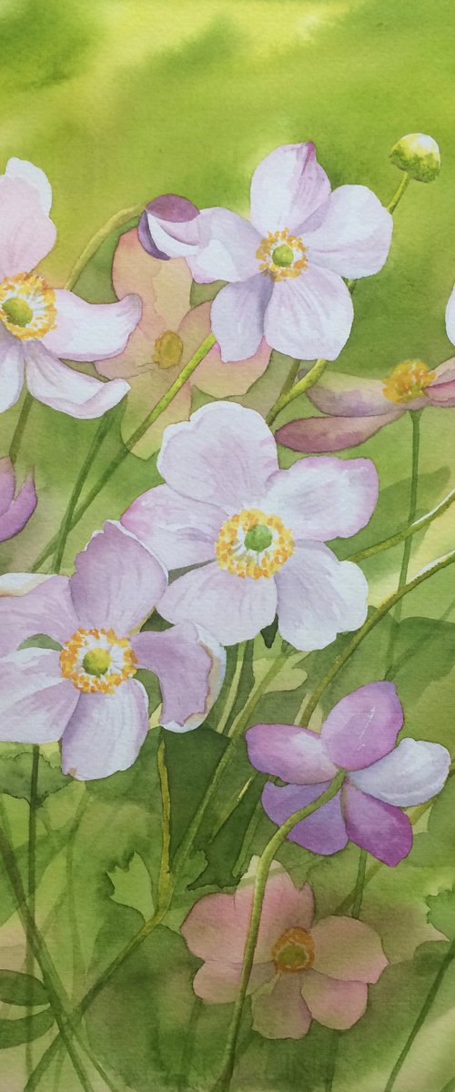Anemones by Silvie Wright