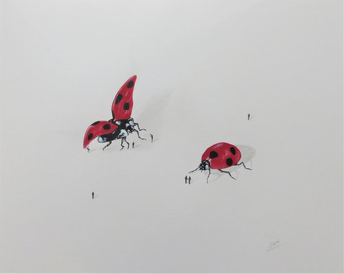 Ladybirds and People by Daniel Shipton