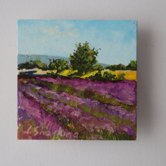 Lavender Field Painting