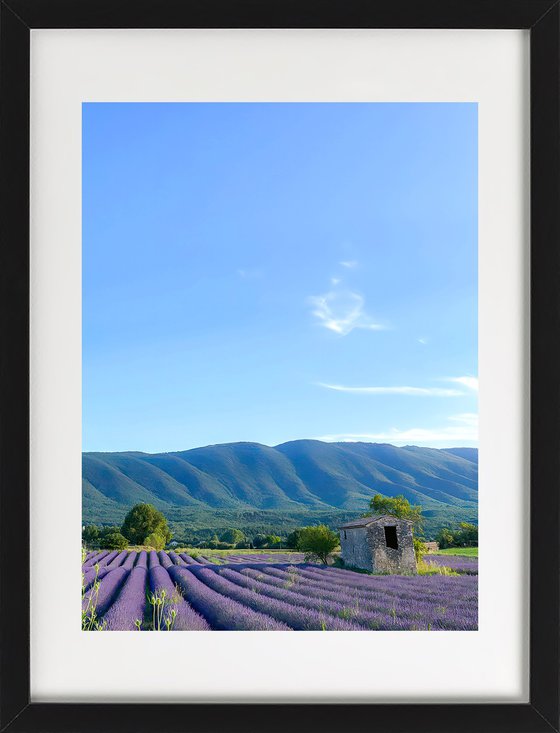 THE COLORS OF PROVENCE