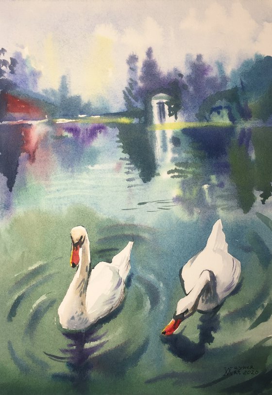 Swans on the pond. A pair of swans. City park sketch. City lake, landscape.