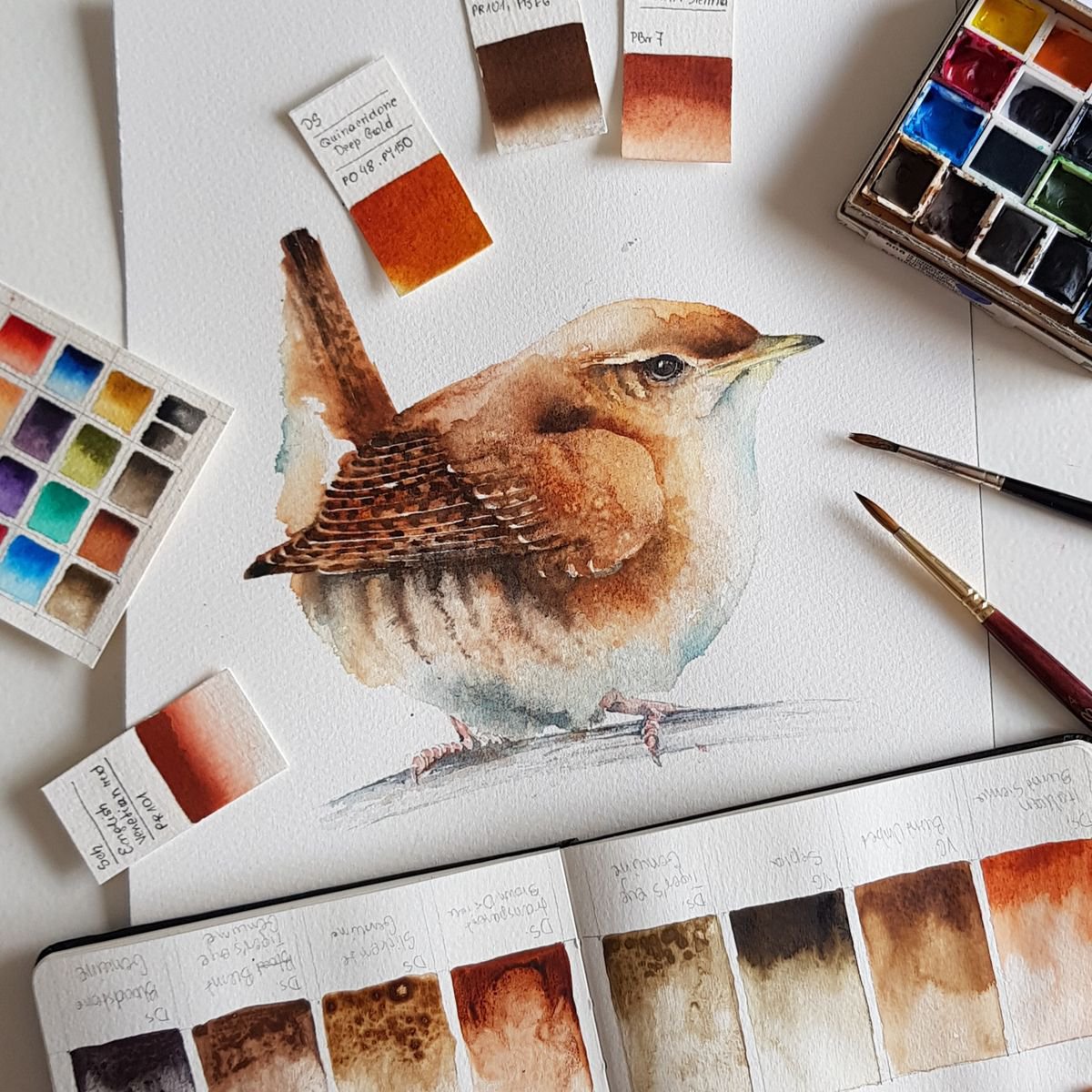 Wren, wildlife, birds watercolours by Karolina Kijak