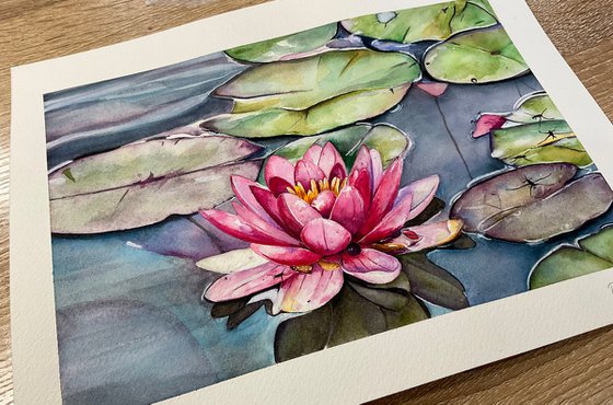 “Peace” lily pads watercolour painting