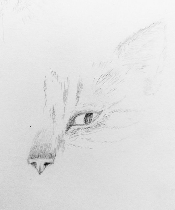 Cats. Original pencil drawing.