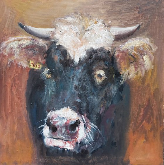 Cow