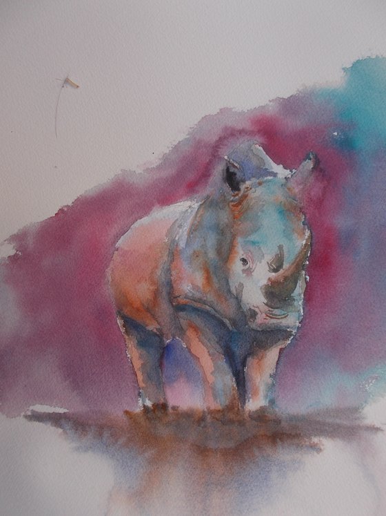 rhinos 3