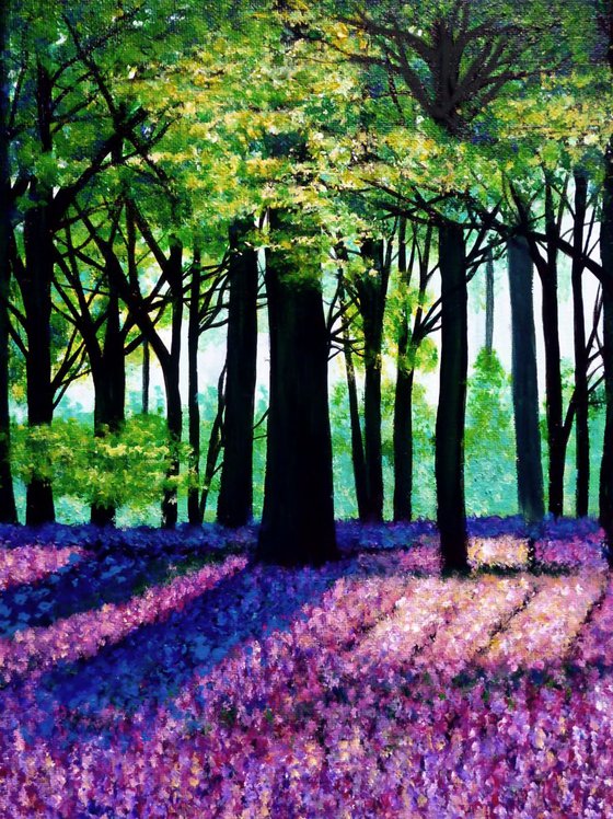 Into the bluebell woods